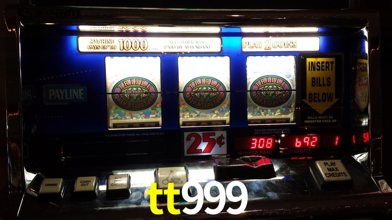 Experiência VIP tt999